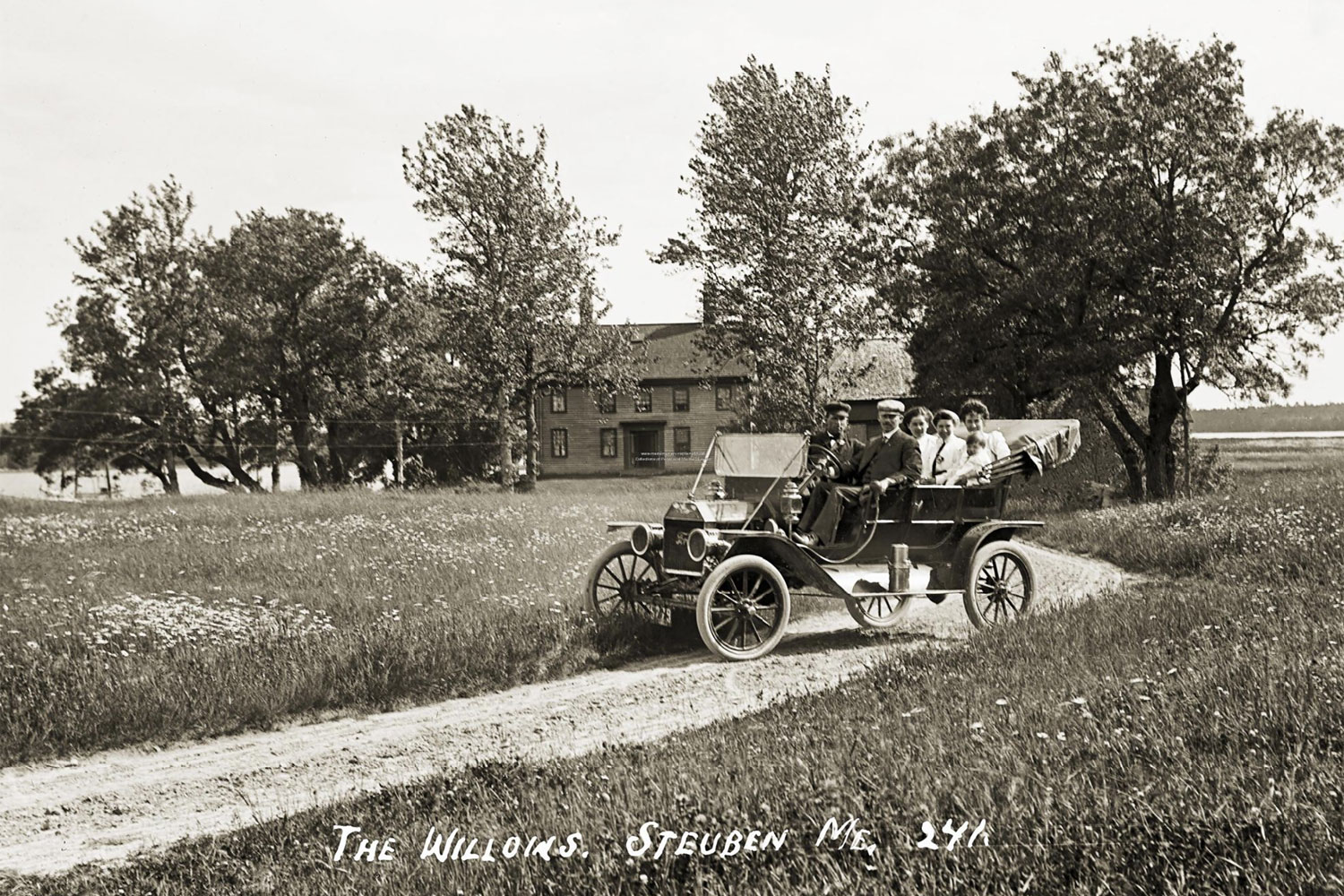 Steuben Historical Willows