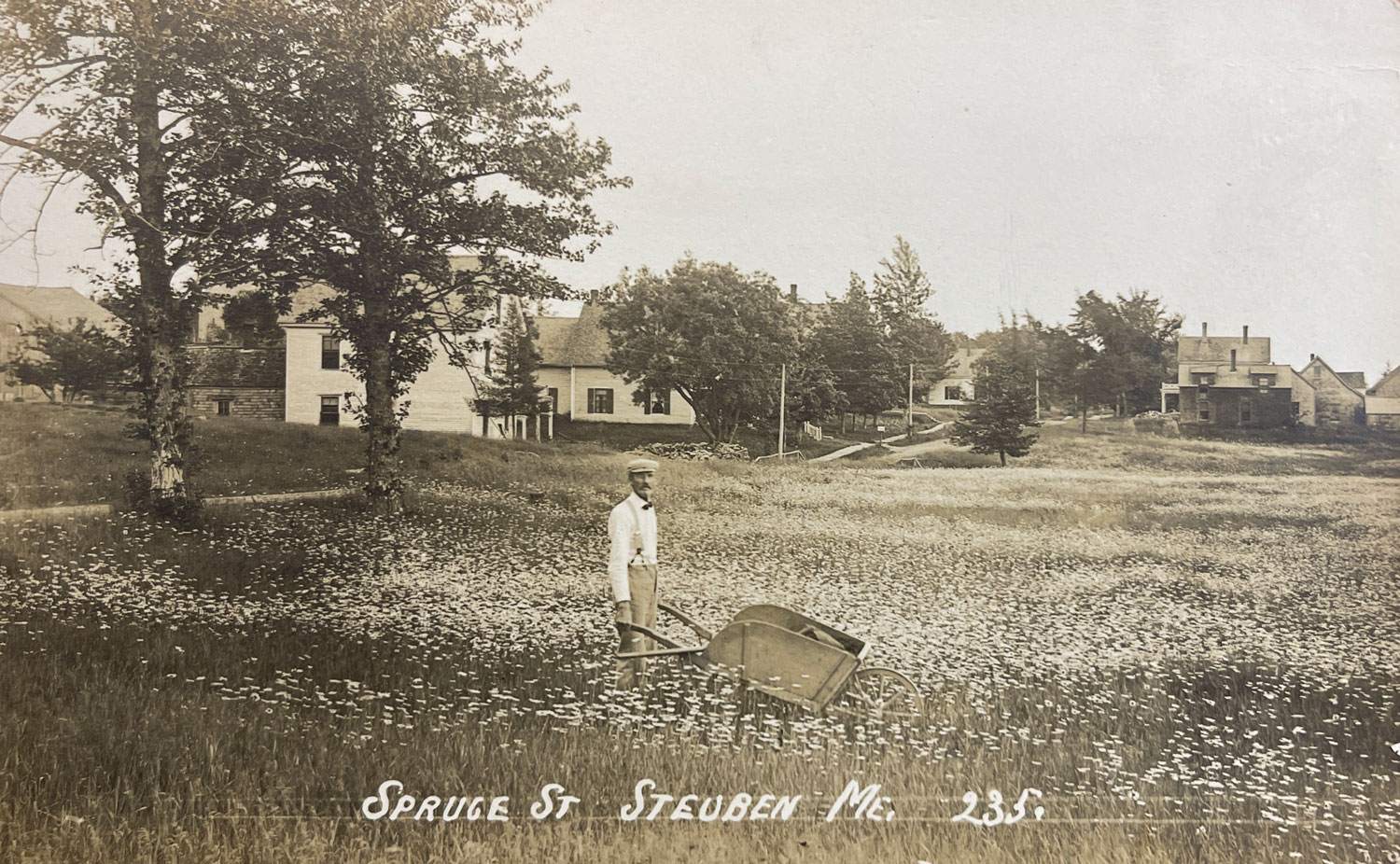 Steuben Historical Spruce Street